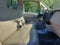 2008 Ford Super Duty F-250 SRW XL