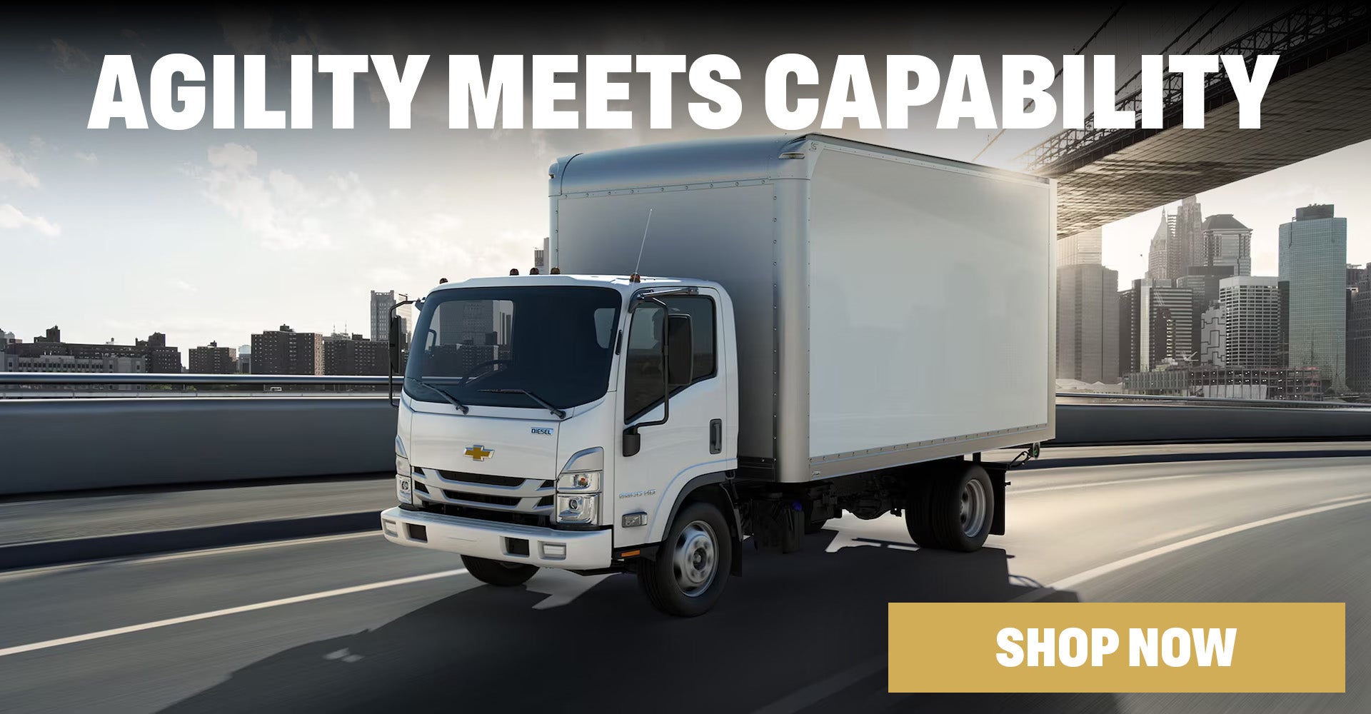 Chevy Low Cab Forward