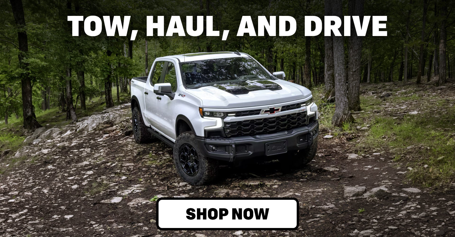 Where Should You Buy A Chevrolet Silverado 1500 in Milford