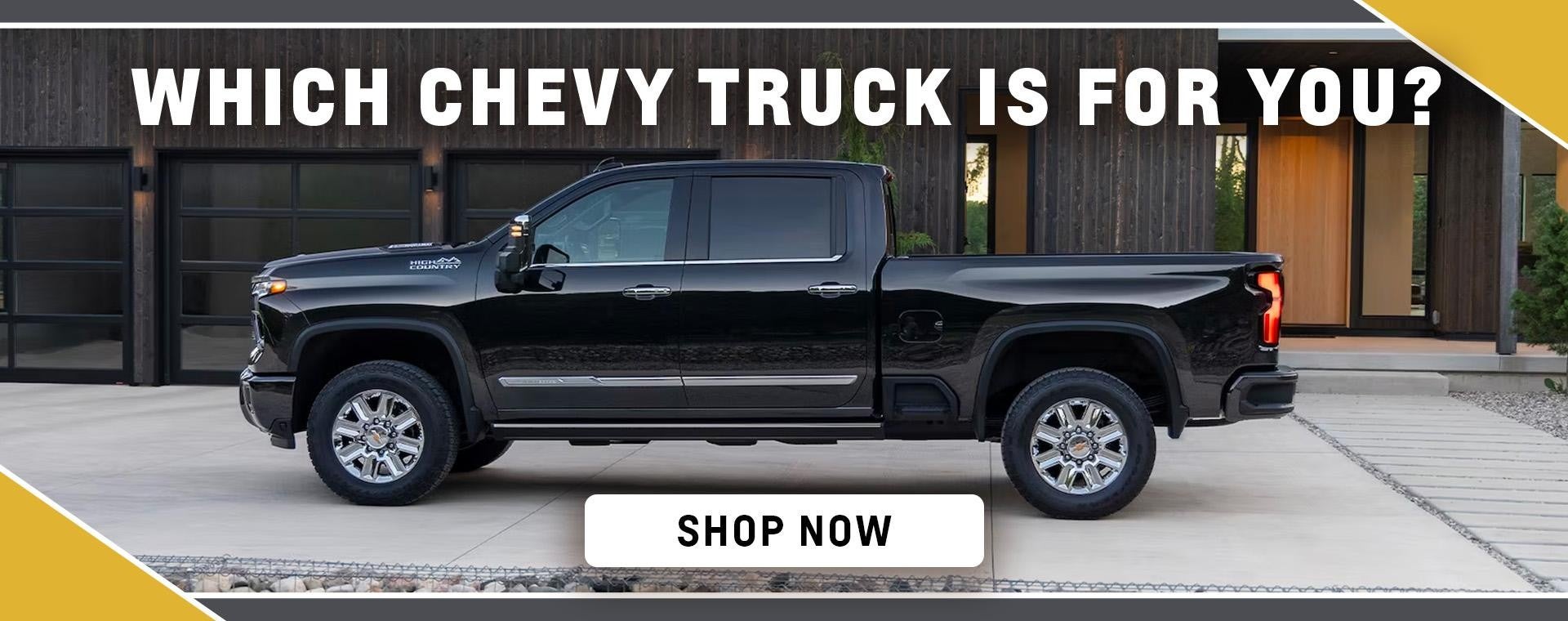 The Chevrolet Silverado 2500 in White