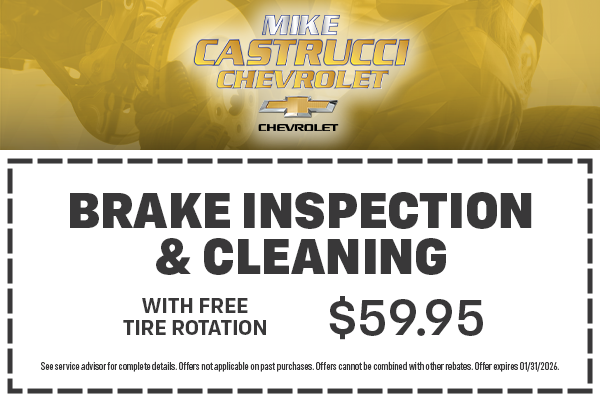 Brake Inspection and Cleaning